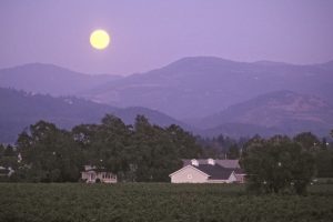 Moonrise over Spottswoode winery