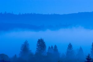 Morning fog in St Helena